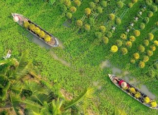 Review kinh nghiệm đi tour du lịch Đồng Tháp 1 ngày từ A – Z Review kinh nghiệm đi tour du lịch Đồng Tháp 1 ngày từ A - Z