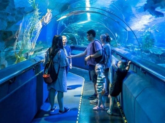 Hành trình khám phá thế giới đại dương tại thủy cung Aquaria KLCC Malaysia
