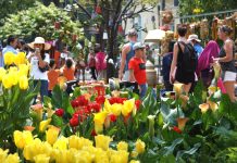 Gợi ý điểm đến “đỉnh” nhất cho kỳ nghỉ Tết Âm lịch 2026